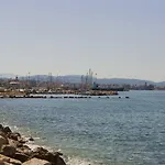 Delfini