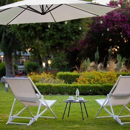 فندق Delfini باترا