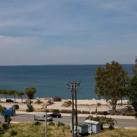 Delfini 호텔 2*