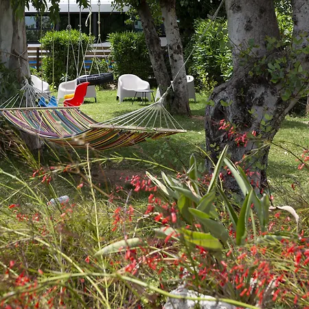 Delfini 2* باترا