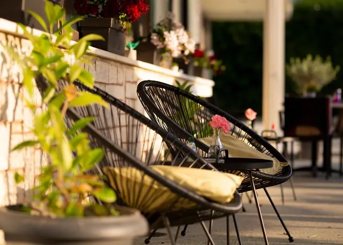 酒店 海豚酒店 2*