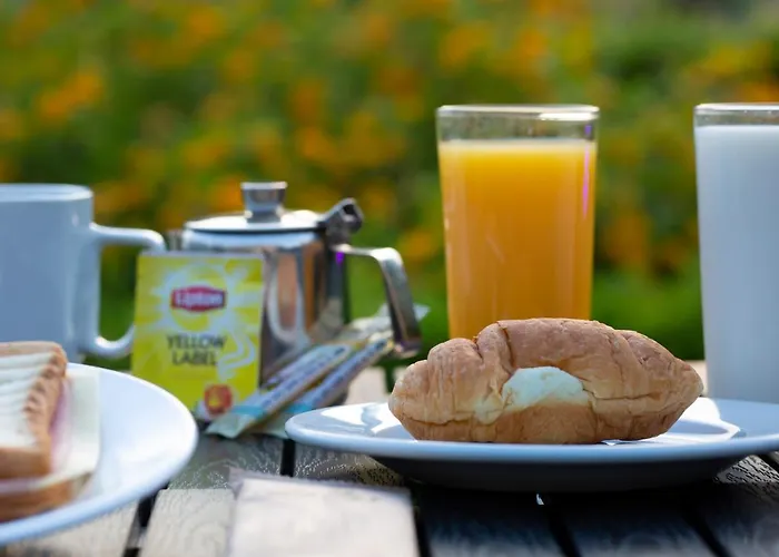 海豚酒店 帕特雷